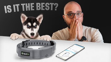 SpotOn GPS Fence Review 2025: Accuracy, Setup & Real Testing