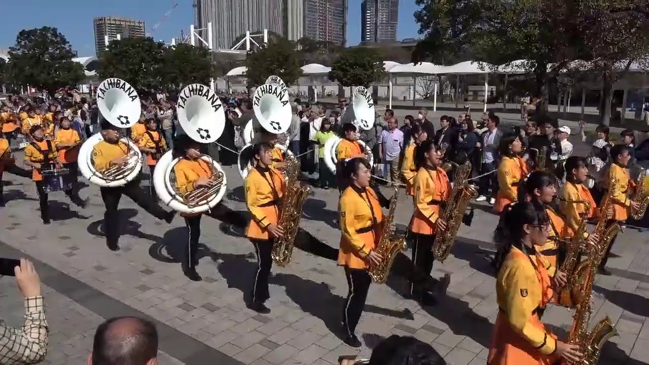 カツオのたたき マヨネーズ添え 京都橘が大好き過ぎて辛い