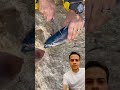 سبحان الله حاجه اغرب من الخيال سمكه بتنزل دم لا وبتندبح كمان سبحان الله حاجه اغرب من الخيال سمكه بتنزل دم لا وبتندبح كمان