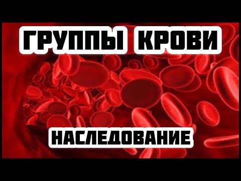 Группы крови. Какая группа крови будет у ребенка. Резус фактор.