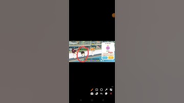 câu cá sấu mini bằng cần không chuyên