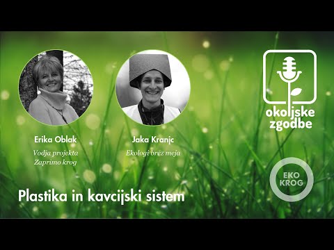 Video: Kaj je teorija bioekološkega sistema?