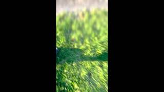 Don't Watch This Video