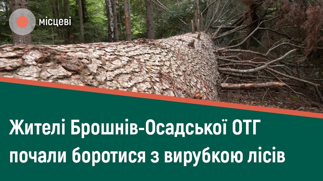 На Прикарпатті селяни блокували вантажівку з деревиною | МІСЦЕВІ