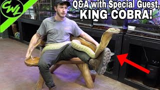 Q&A with KING COBRA!!!