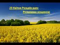 23 Квітня . Зацвів рапс . Принос нектару . Розширяєм вощиною