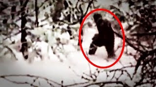 5 Abominable Snowman Caught On Camera & Spotted In Real Life!