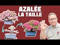 LA TAILLE DE L’AZALÉE SATSUKI 🌱 NEJIKAN BONSAI 🌱