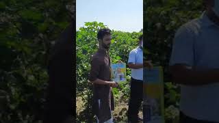 Chamatkar results on cotton by vishnu kumar