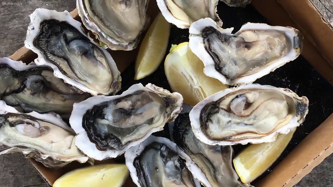 newspaper mockup Man dies from bacterial infection after eating raw oysters