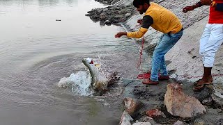 daily village life fishing || village Fishing || India UP