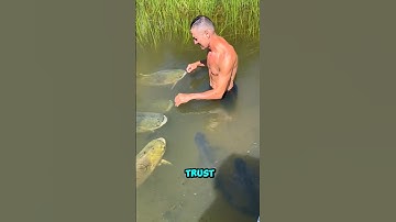 This man and his fish friend will amaze you🥰 |#shortsfeed