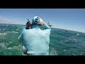 Shark Attack to the Head (GoPro video & after pic)