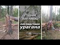 Родник &quot;Вий памаш&quot; | Последствия урагана