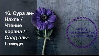 16. Сура ан-Нахль / Чтение корана / Саад аль-Гамиди