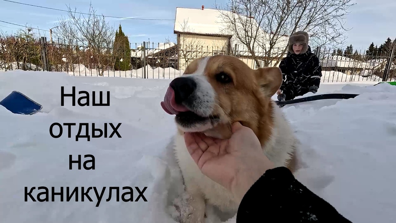 Дача влог /Рекорд снега /23 февраля /Труд и отдых