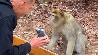 Overdramatic ANIMALS Reacting to Magic For The First Time! Funniest Animal Videos 2025