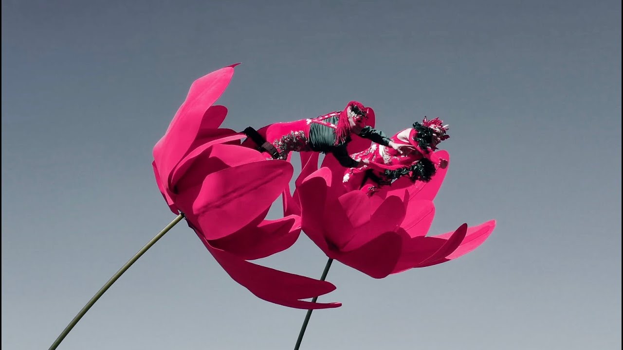 Sway Pole Red Flowers YouTube