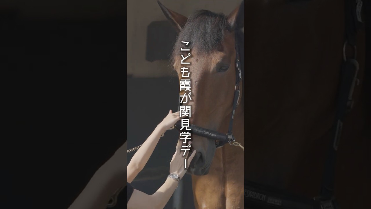 令和8年度こども霞が関見学デーの様子