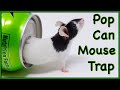 Can Mice Squeeze into A Pop Can?  The Can Mouse Trap From 2007 - Mousetrap Monday