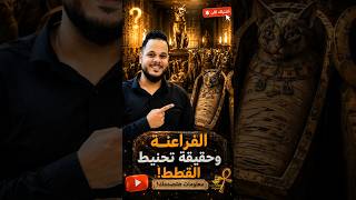 تحنيط القطط ايام الفراعنة 😱 #explore #viral #قطط #مصر_القديمة #الفراعنة