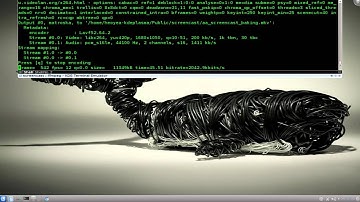 Auto Login - Kubuntu 11.04