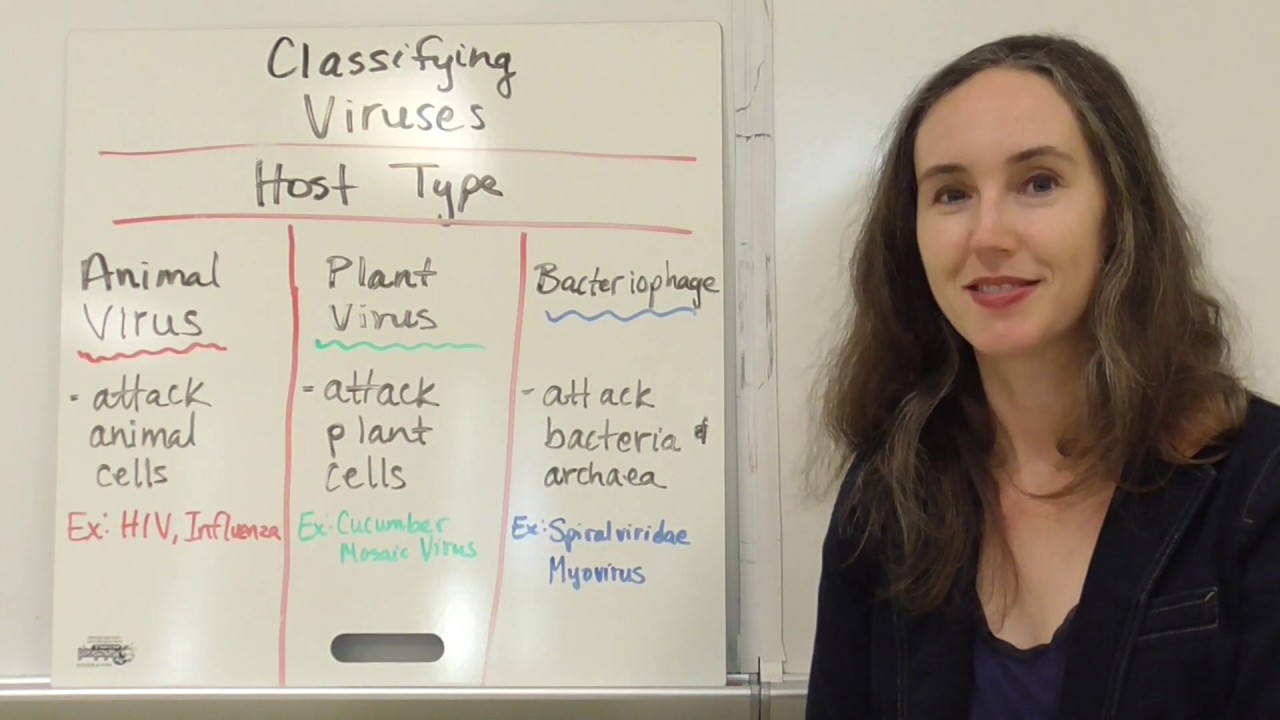Virus Classification: Understanding Viral Shape, Structure, and Hosts