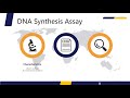 Cell Proliferation Assays