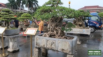 VD : TRIỂN LÃM BẮC NINH 2022