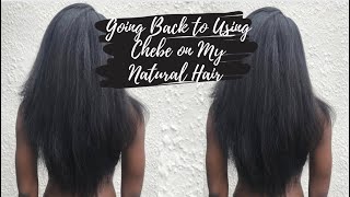 Going Back to Using Chebe on My Natural Hair!