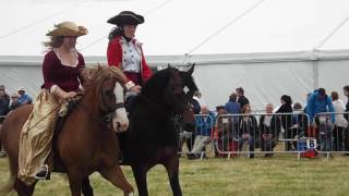 Welsh Pony & Cob Society demonstration 2016