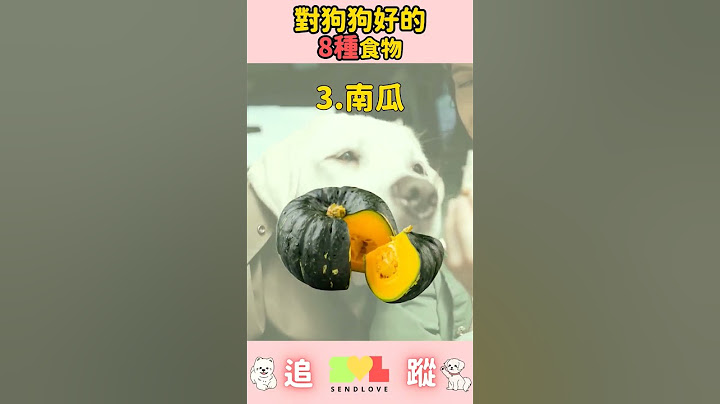 對狗狗好的8種食物(上)