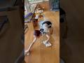 掃除をしても人生は変わらない。7月のお掃除の朝活メンバー募集中👇概要欄見てね🌿