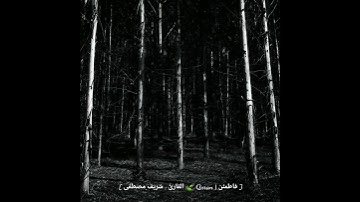 ليطمئن قلبك قرآن كريم حالات واتس دينية { يُدْخِلُ مَن يَشَاءُ فِي رَحْمَتِهِ }.