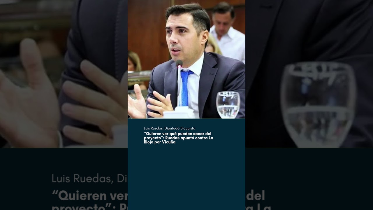 “Quieren ver qué pueden sacar del proyecto”: Ruedas apuntó contra La Rioja por Vicuña