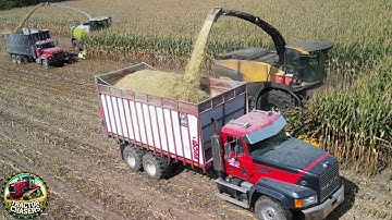 Corn Silage Harvest with New Holland FR920 and Claas 990 Forage Harvesters