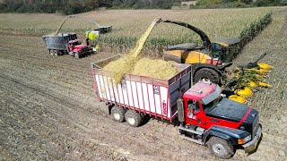 Corn Silage Harvest with New Holland FR920 and Claas 990 Forage Harvesters
