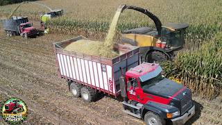 Corn Silage Harvest with New Holland FR920 and Claas 990 Forage Harvesters