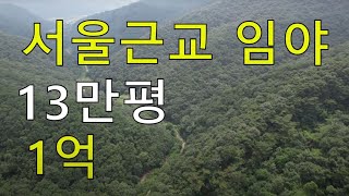 1억 13만평 서울근교임야 큰임야 싼임야 공시가10억8천 시세77억 남향 자연인 전원생활 힐링숲6차산업 약용재배 방목 임업직불금 땅과함께(새희망을)경매임야 공매임야 나도땅주인