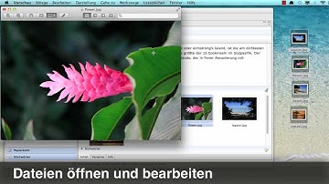Sorting Thoughts: "Dateien anhängen" Anleitung