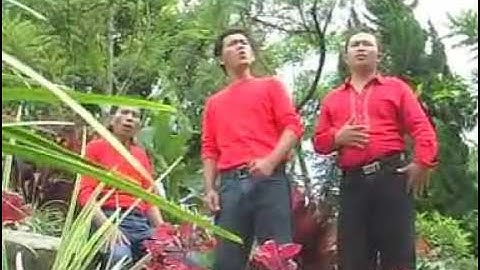Rapana Trio Paimaonmu