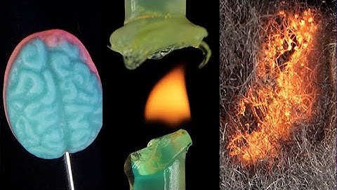 Destroying Everyday Objects in Macro (ASMR) 🔥