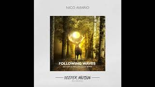 Nico Aviario - Following Waves (VetLove & Mike Drozdov Remix)