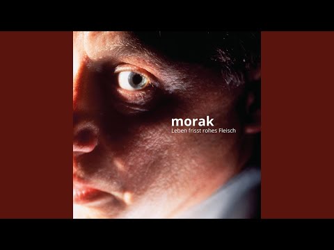 Franz Morak — Keine Drinks bei Lori