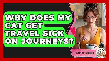 Why Does My Cat Get Travel Sick On Journeys? - Happy Cat Handbook