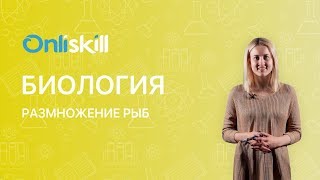 Биология 7 класс : Размножение рыб