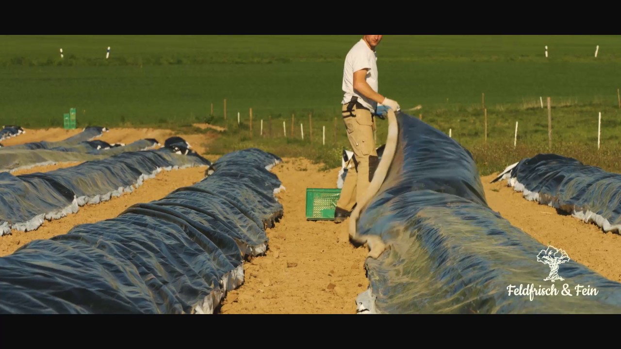 VILA VITA Marburg einzigartig.vielfältig - Imagefilm