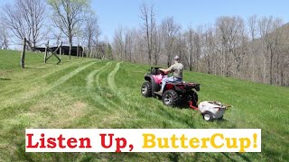 Listen Up, Buttercup! Spring Weed Control