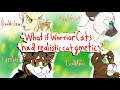 What if warrior cats had realistic cat genetics