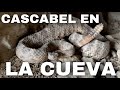 Cascabel En La Cueva